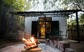 The Olive Thrush Cottage